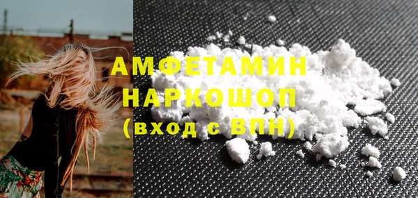 индика Медвежьегорск