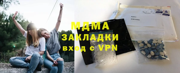 индика Медвежьегорск