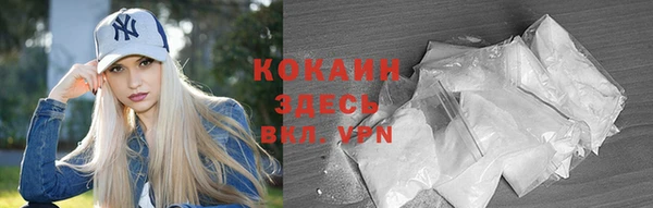 индика Медвежьегорск