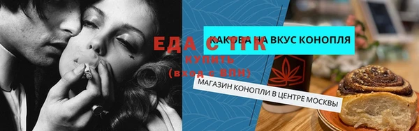 индика Медвежьегорск