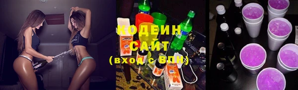 индика Медвежьегорск