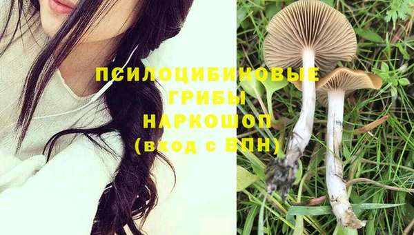 спиды Майский