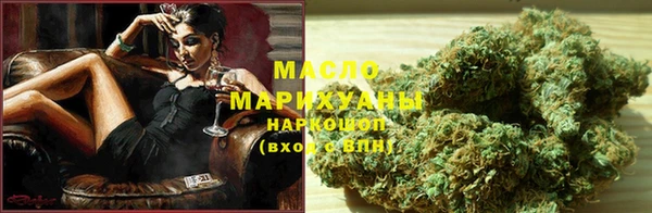 индика Медвежьегорск