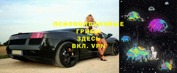 индика Медвежьегорск